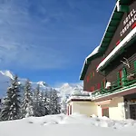 Snoe